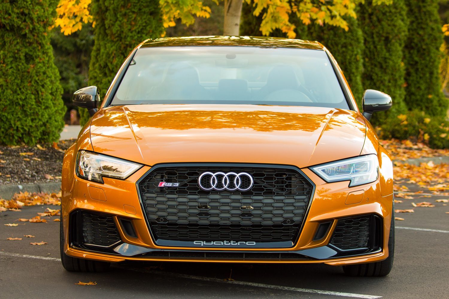 2018 Audi RS 3 | H&R 2018 Audi RS 3 Sedan