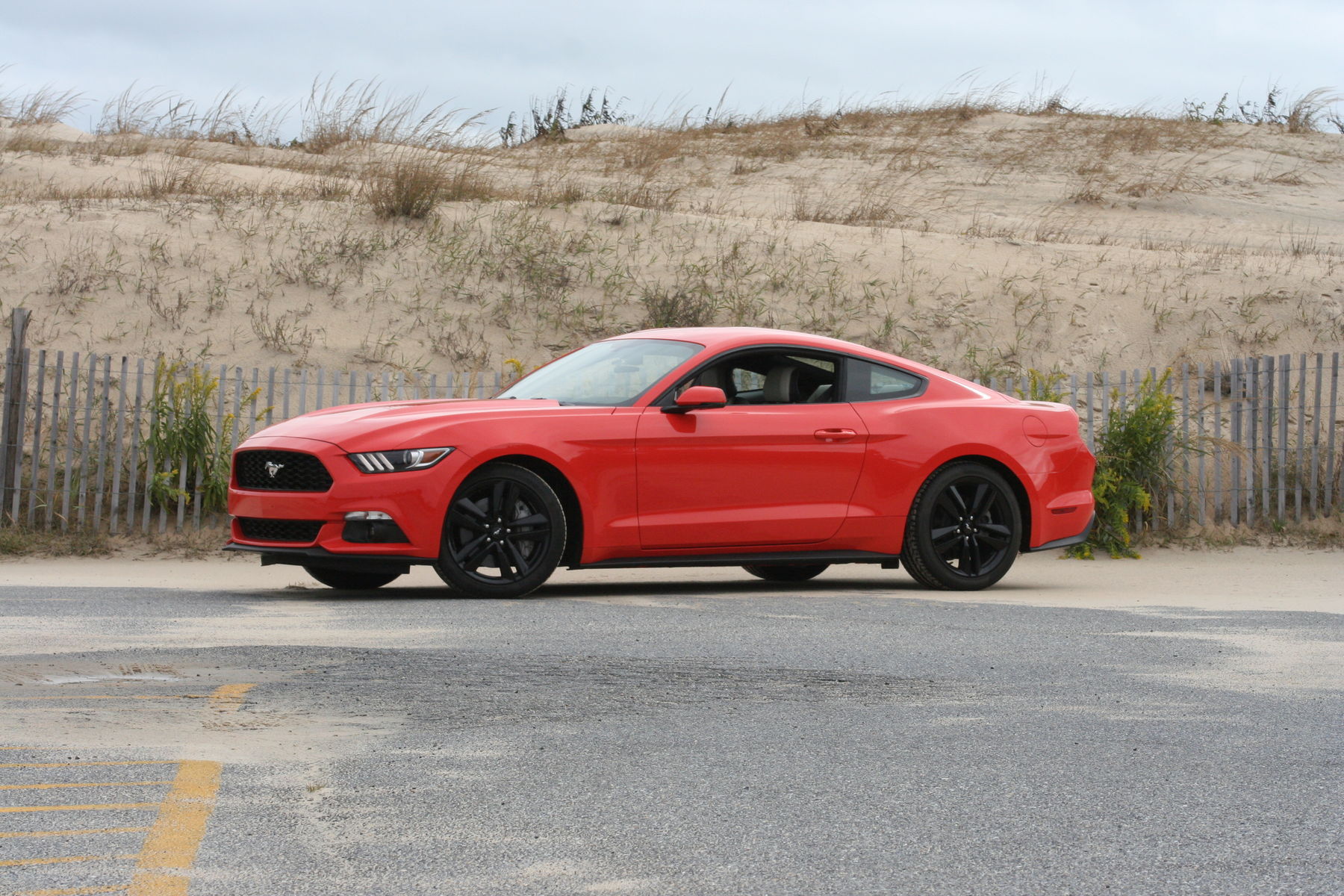 2015 Ford Mustang | 2015 Ford Mustang EcoBoost PP (Bone Stock)