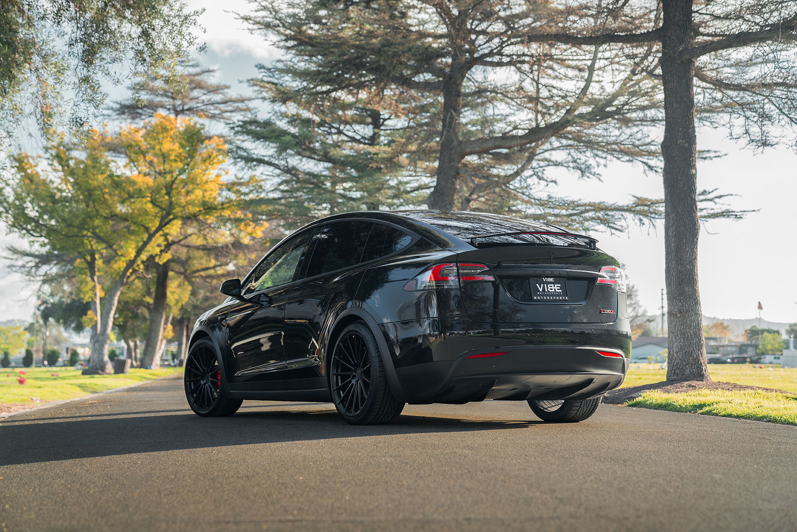 2017 Tesla Model X | Tesla Model X P100D on 22