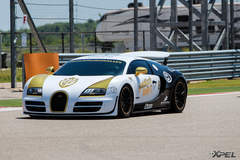 goldRush Rally 7