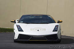 Gallardo for goldRush