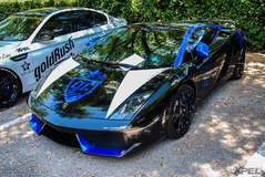goldRush Rally 7