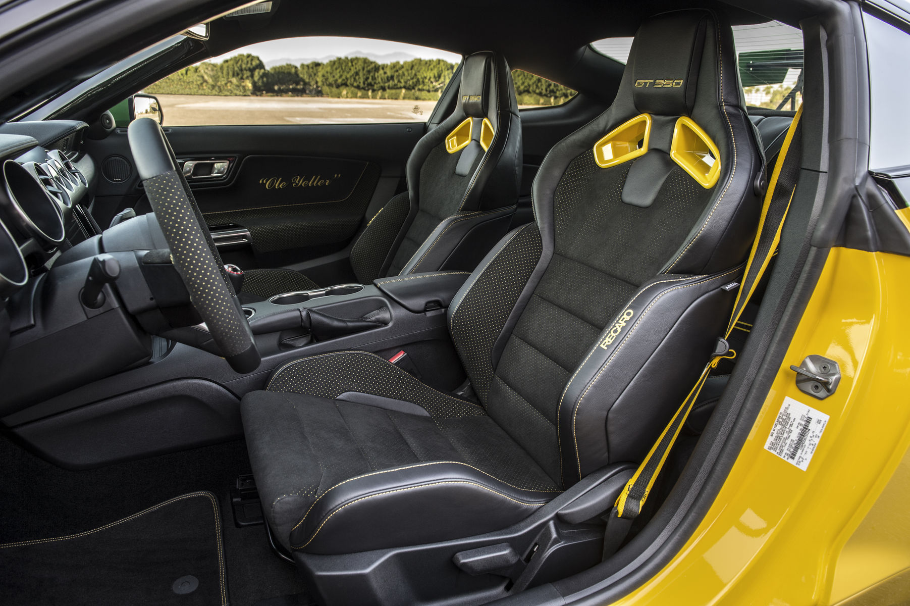 2017 Ford GT350 |