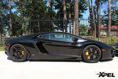 Lamborghini with XPEL ULTIMATE paint protection film