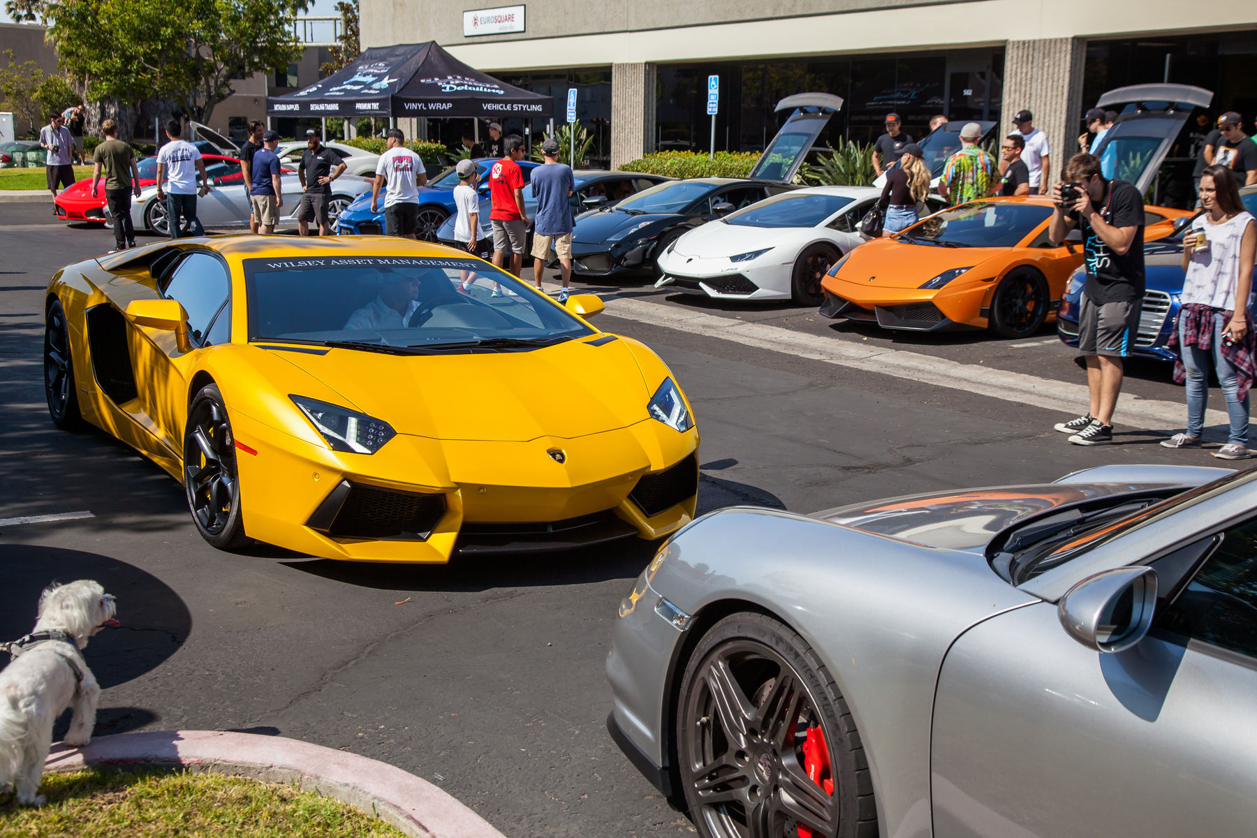    | San Diego Cars & Coffee July 16th, 2016