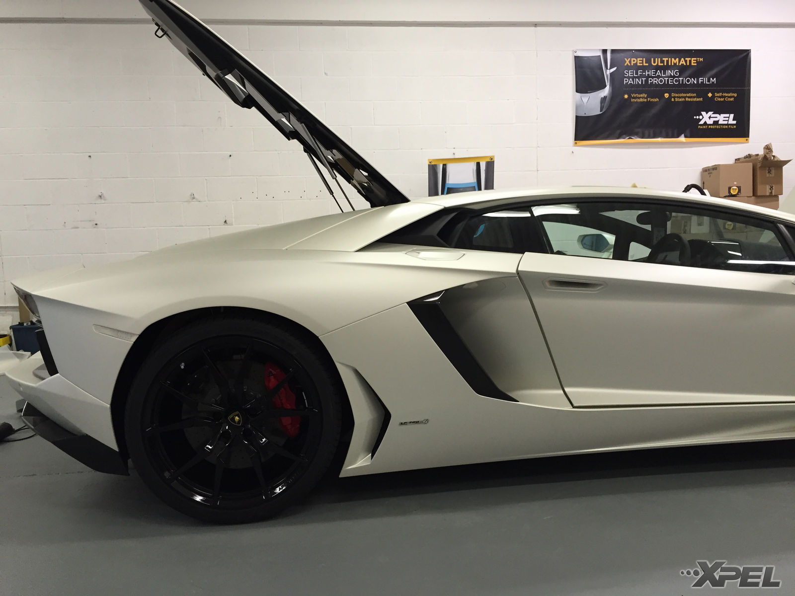 Lamborghini Aventador | XPEL STEALTH Satin-Finish clear bra installation
