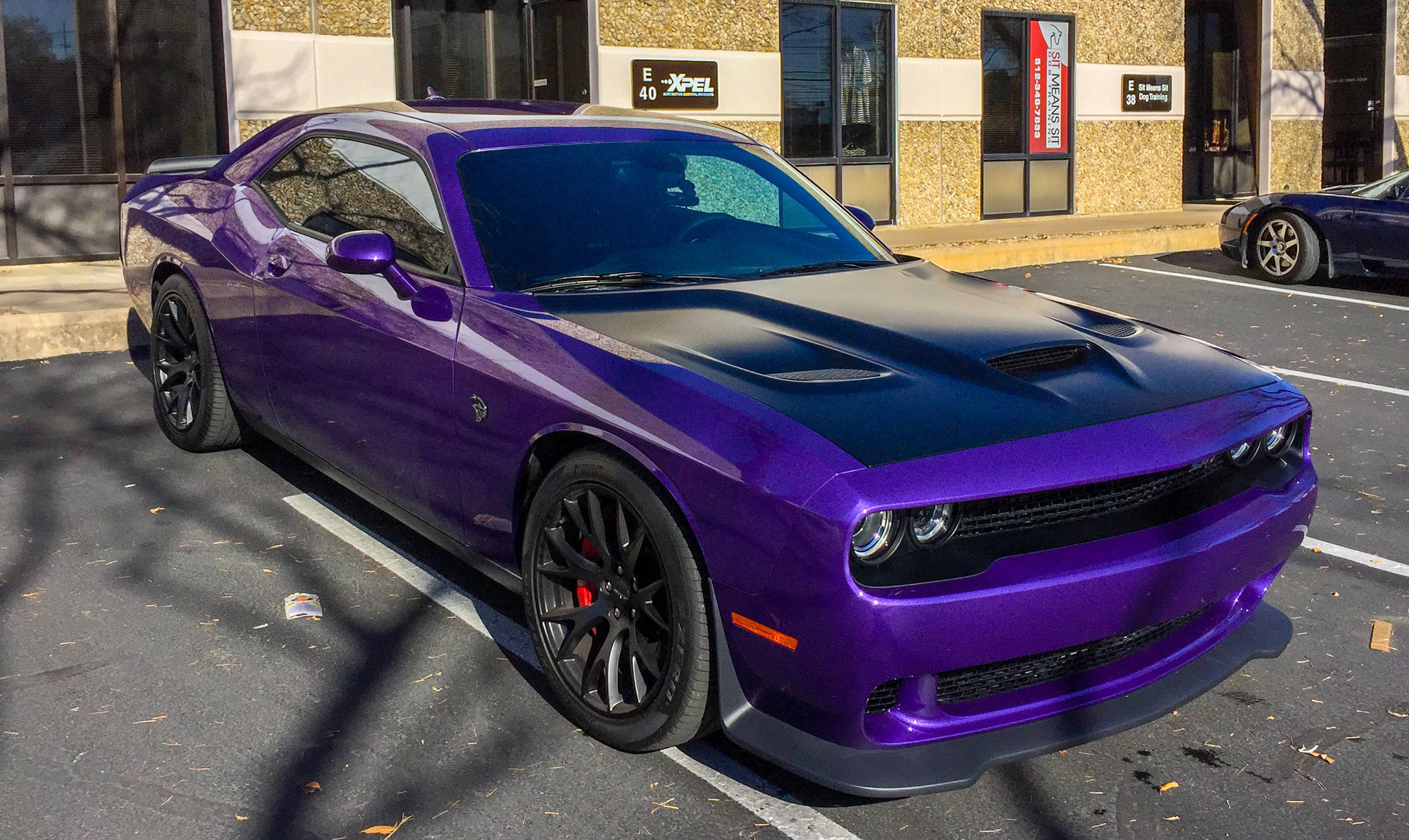  Dodge Challenger | XPEL Austin protecting this beautiful car with XPEL ULTIMATE
