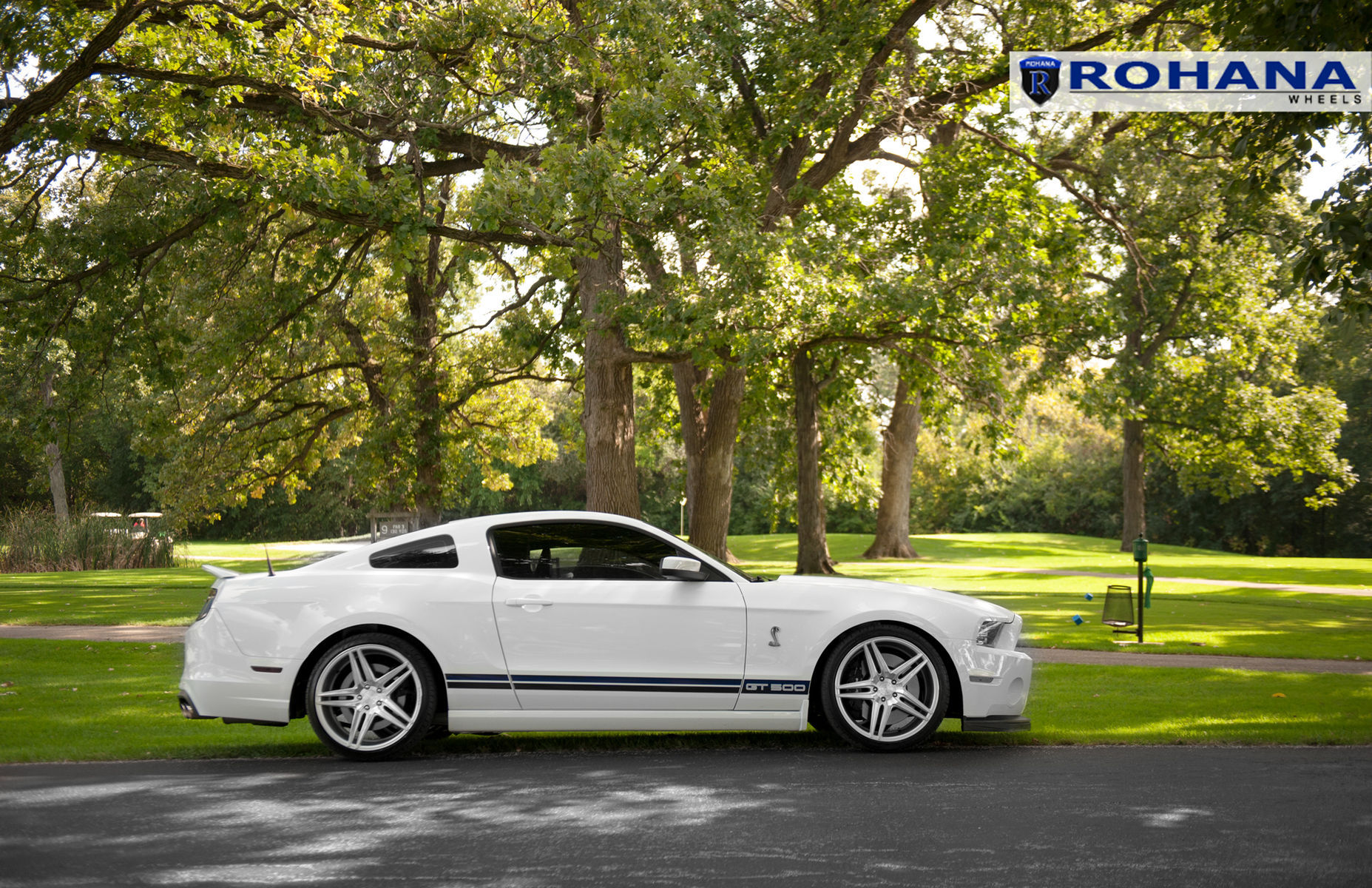  Ford Shelby GT500 | Ford Mustang GT500