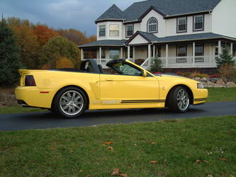 2004 Ford Mustang SVT Cobra | MRT Surfchaser