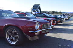 The Lineup