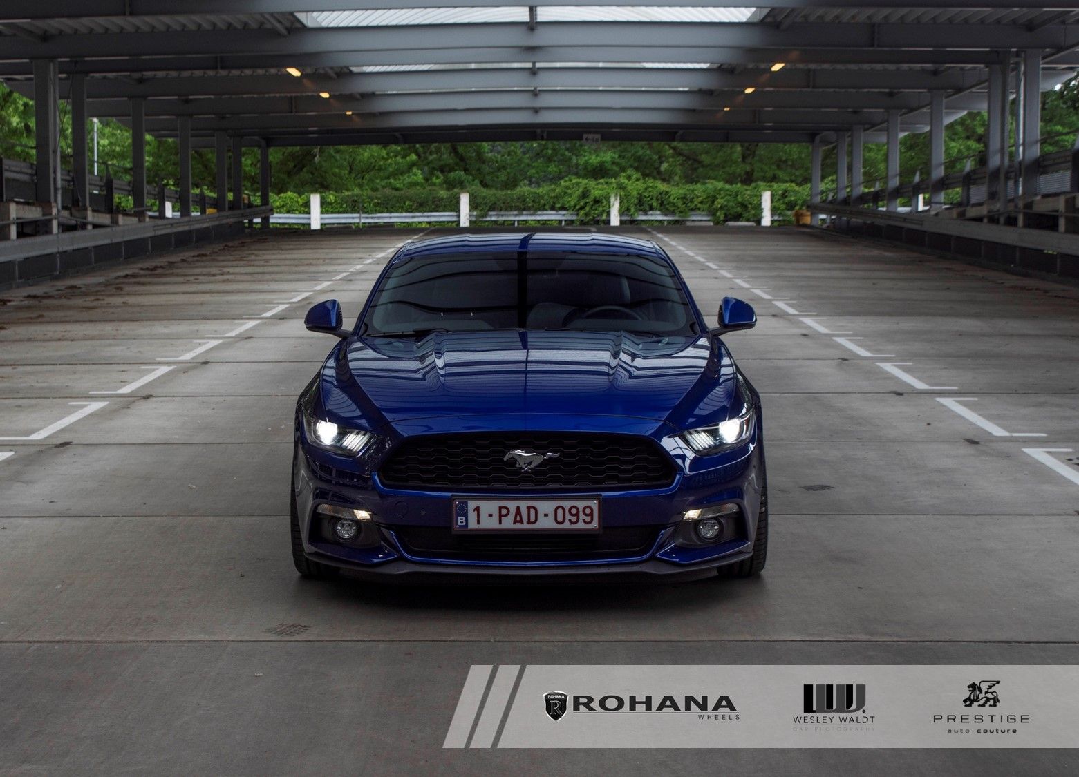 2016 Ford Mustang | Ford Mustang - Hood Shot