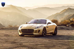 Gold Jaguar F-Type - Front Profile