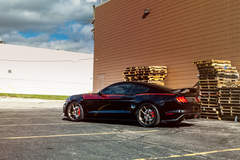 MRT Sport Touring EcoBoost Mustang