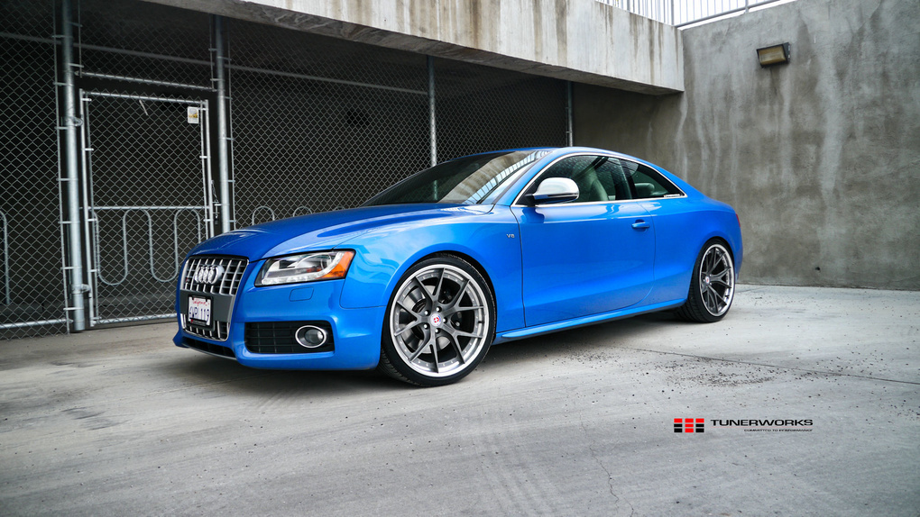 2008 Audi S5 | Audi S5
