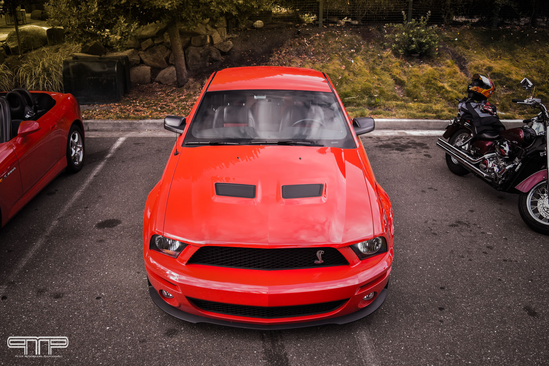 2007 Ford Shelby GT500 | Ford Mustang Shelby GT500