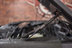 2017 Ford Mustang EcoBoost Ford Performance Hood Struts