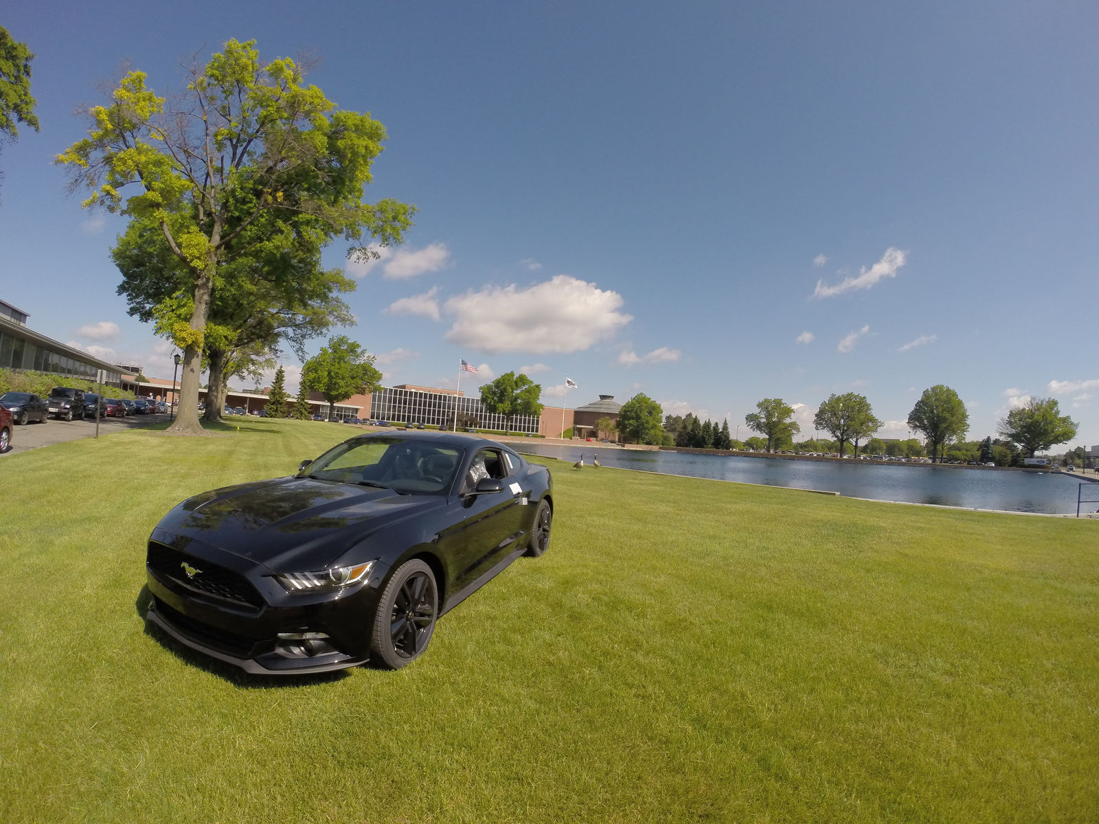 2015 Ford Mustang | 2015 Ford Mustang Fastback by Dragg