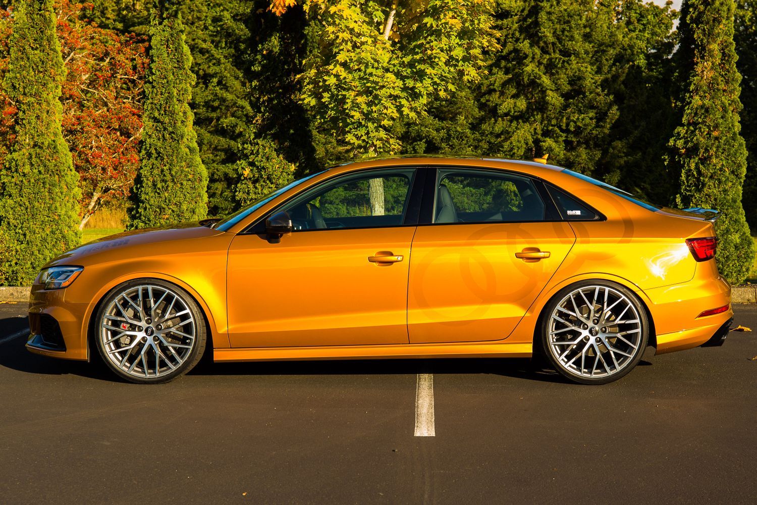 2018 Audi RS 3 | H&R 2018 Audi RS 3 Sedan