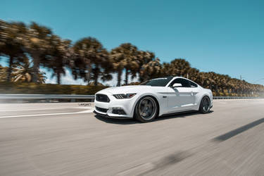 2016 Ford Mustang | White Mustang GT | Classic5 Matte Gunmetal