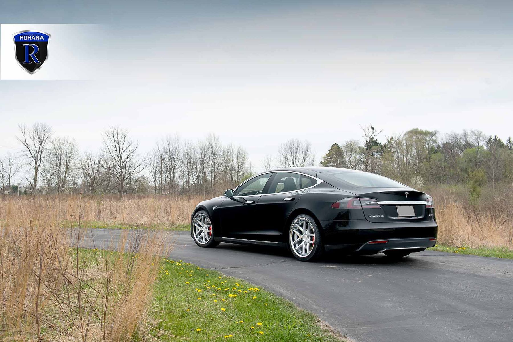  Tesla Model S | Tesla Model S P85