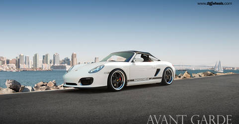 Porsche 987 Boxster Spyder