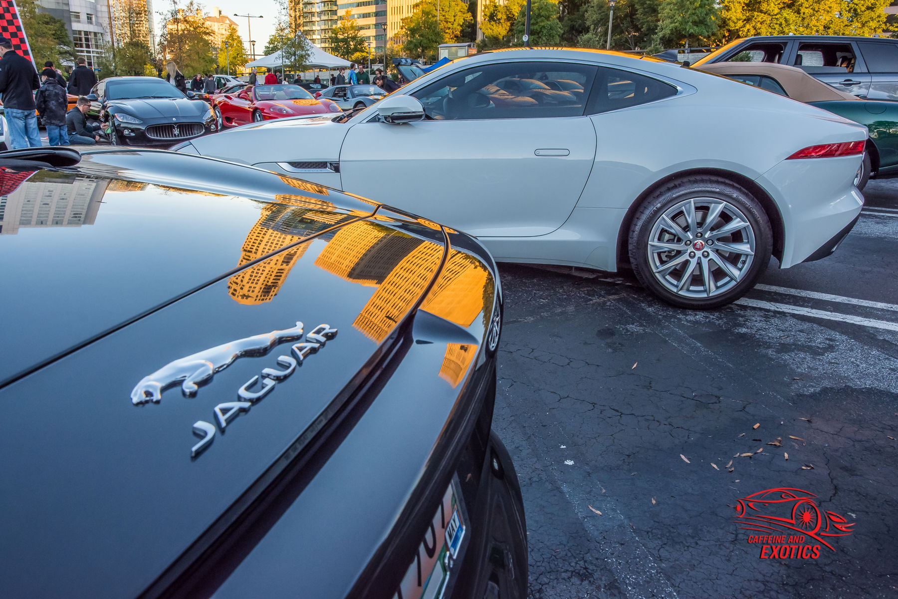 2014 Jaguar F-Type | Jaguar F-Type Coupe