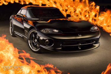 Hot Viper