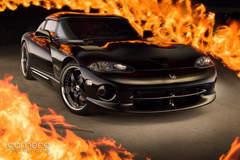 Hot Viper