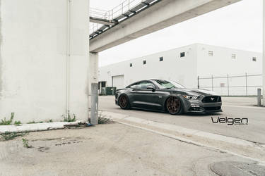 2015 Ford Mustang | Bagged S550 on Satin Bronze Velgen Wheels 