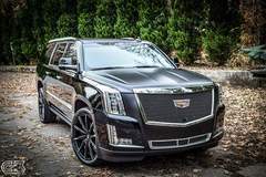 XPEL Atlanta protected this Cadillac Escalade with XPEL STEALTH