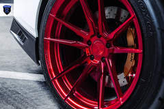 White Nissan GTR - Wheel