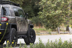 FJ Cruiser Mandrake Kryptek Camo