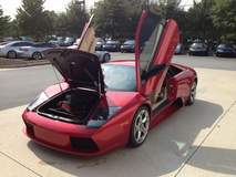 Beautiful Lamborghini with XPEL ULTIMATE