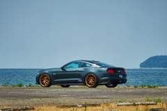 H&R 2015 Mustang GT Premium Fastback