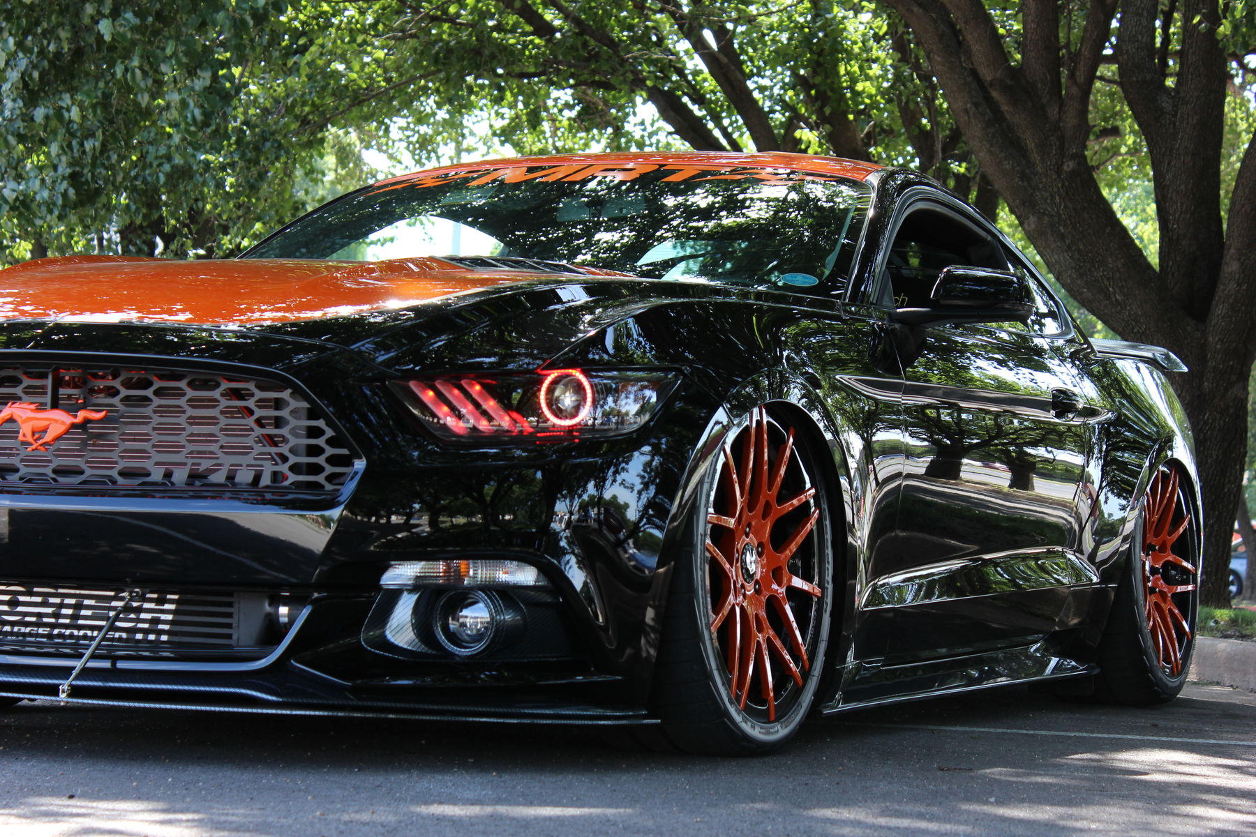 2015 Ford Mustang | MRT TKO Mustang