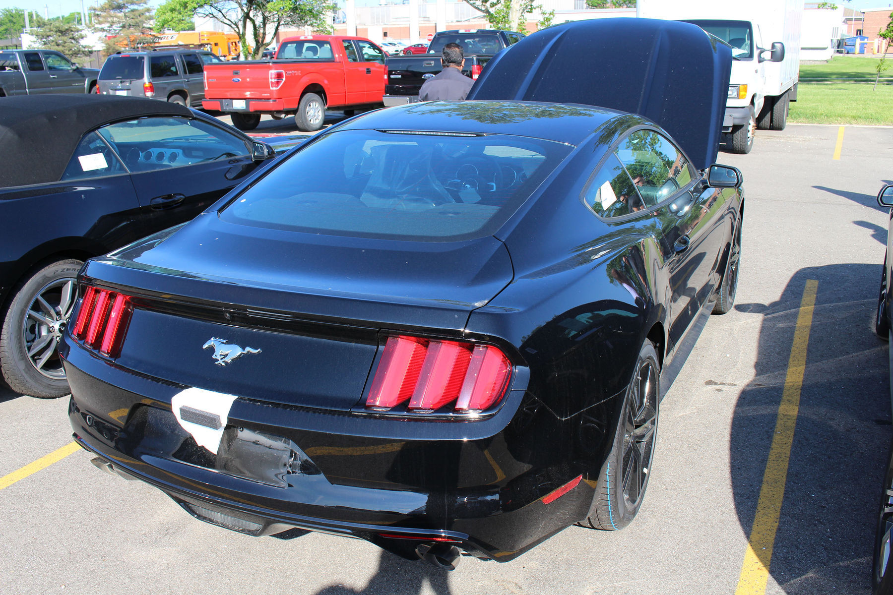 2015 Ford Mustang | 2015 Ford Mustang Fastback by Dragg