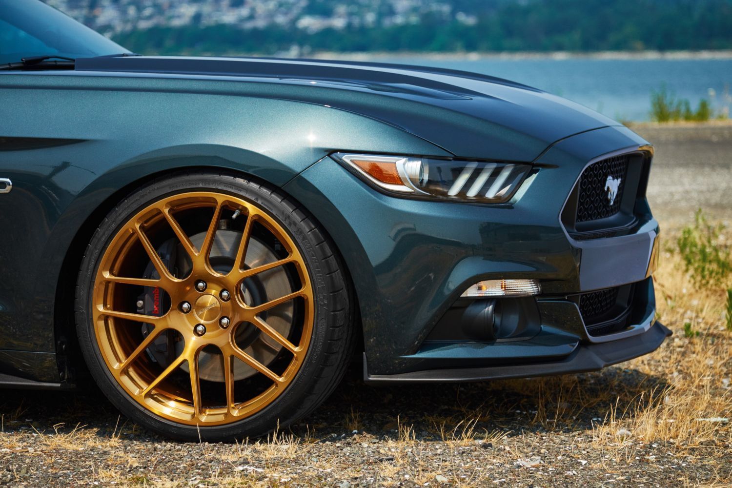 2015 Ford Mustang H&R 2015 Mustang GT Premium Fastback.