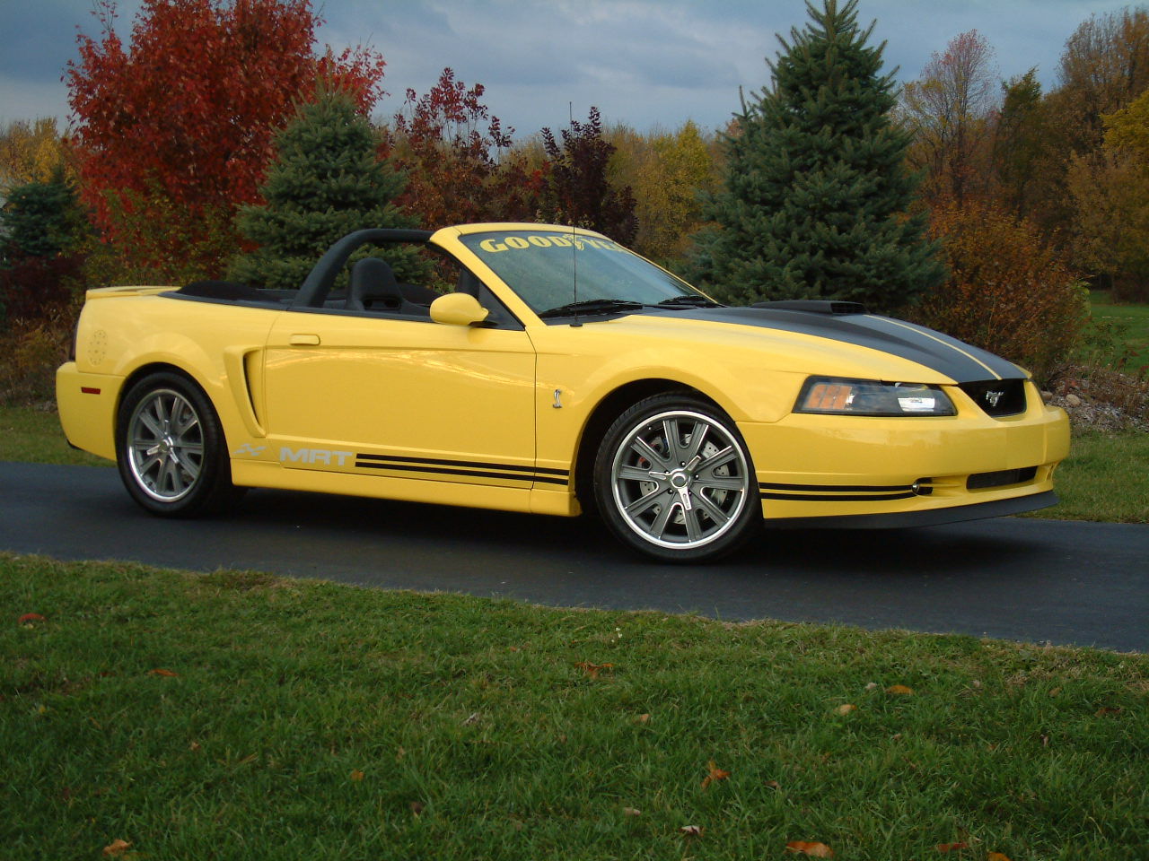 2004 Ford Mustang SVT Cobra | MRT Surfchaser
