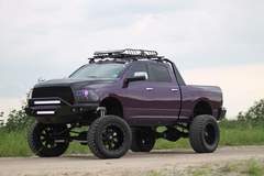 Purple Ram