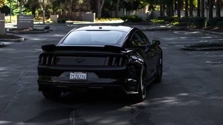 Murdered Mustang