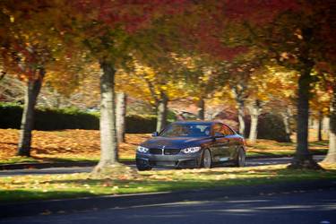 2014 BMW 4 Series | H&R 2014 BMW 428i M Sport Coupe