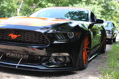 MRT TKO Mustang