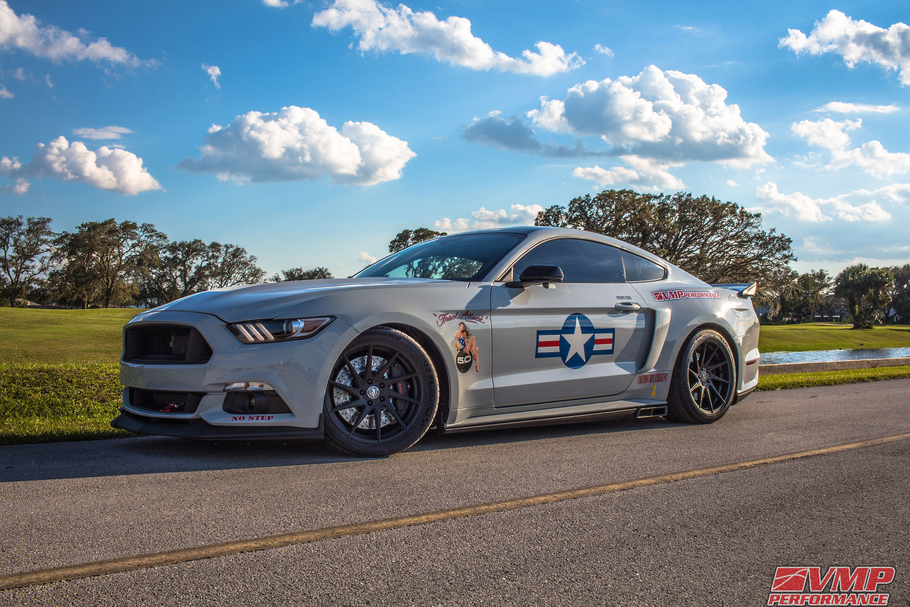 2017 Ford Mustang | 2017 Ford Mustang GT Fastback - “Track Attack” by VMP Performance - Blue Skies