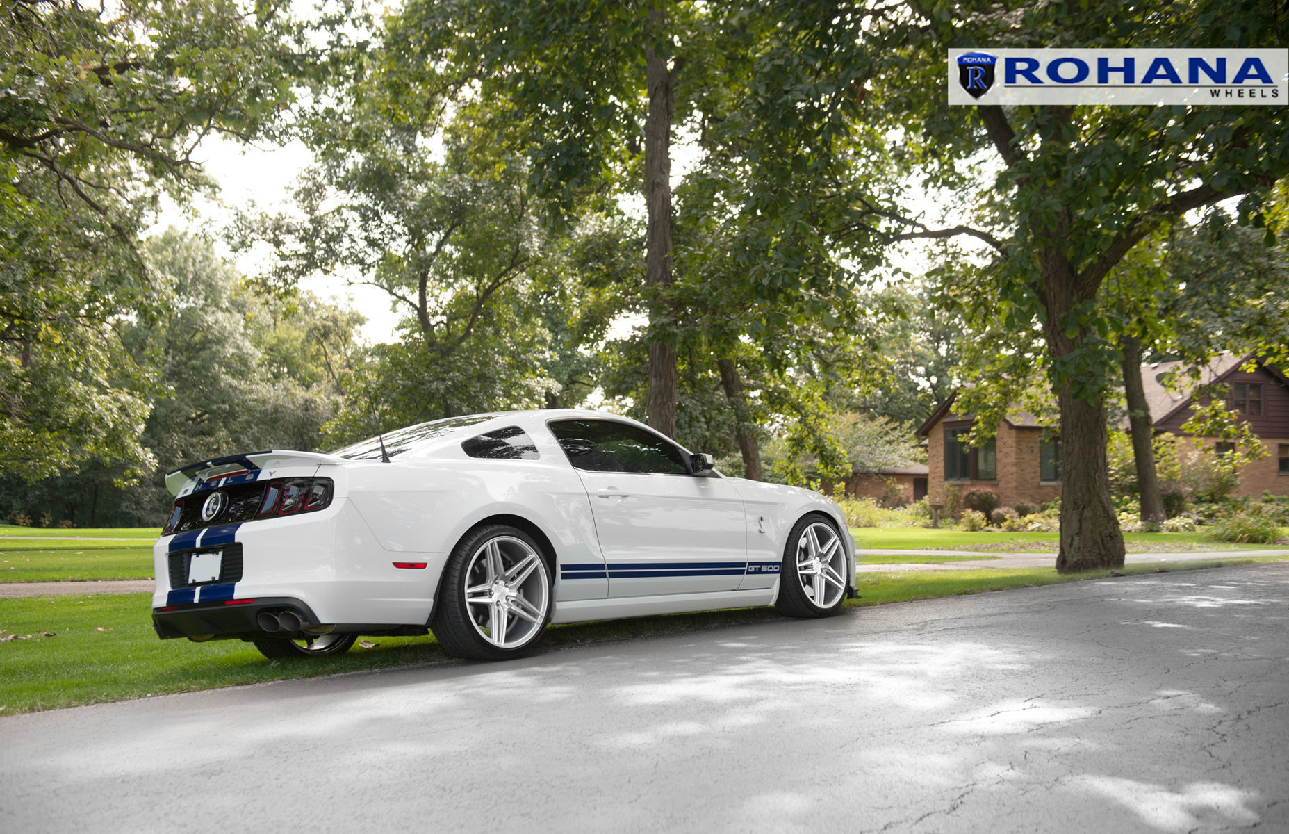  Ford Shelby GT500 | Ford Mustang GT500