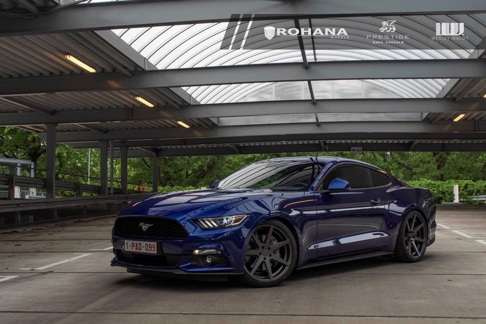 2016 Ford Mustang | Ford Mustang - Stance Shot