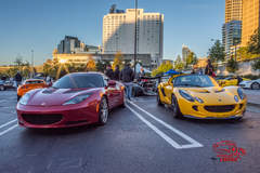 Lotus Pair