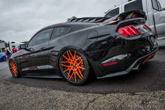 MRT TKO Mustang