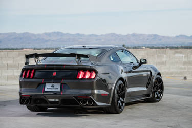 2019 Ford GT350R | 2019 Shelby GT350R Carbon Fiber Edition by Speedkore - Las Vegas FordSEMA