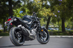 Suzuki Gladius SFV650