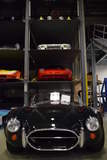 427 Cobra and Friends 